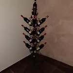 Seme Di Faggio