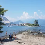Seme Di Faggio