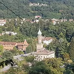 Seme Di Faggio