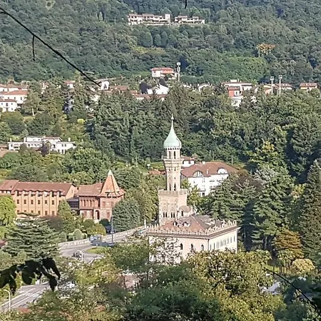 Seme Di Faggio
