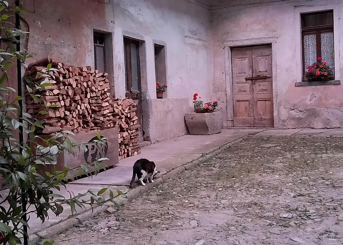 Guest house Seme Di Faggio 3*