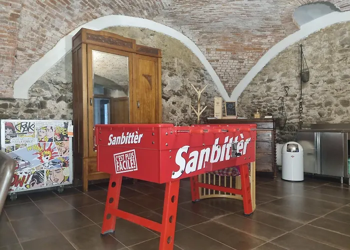 Seme Di Faggio