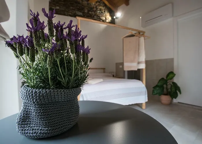 Seme Di Faggio Guest house Miasino