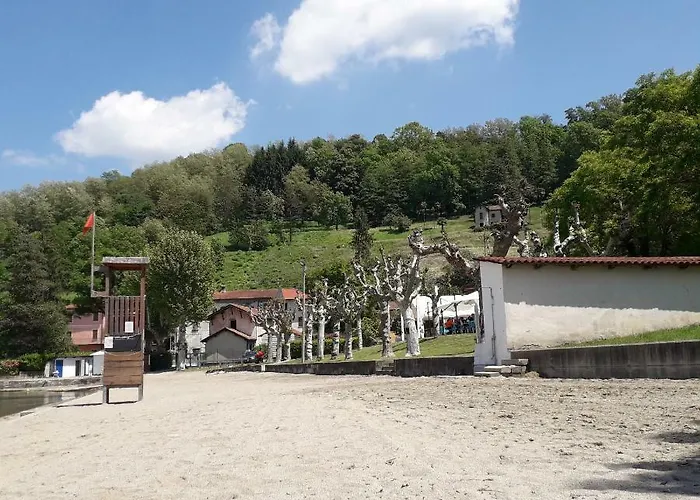 Seme Di Faggio
