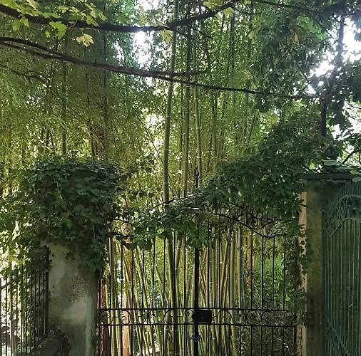 Seme Di Faggio Guest house
