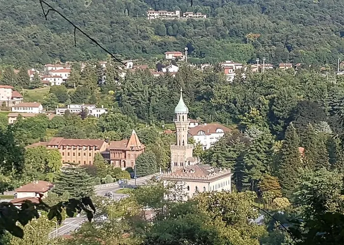 Seme Di Faggio